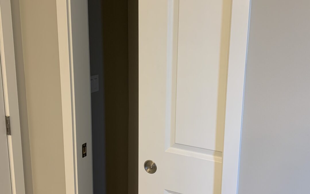 Pocket Door